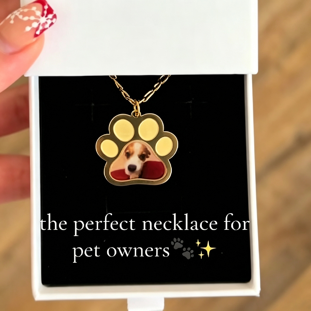 Personalized Pet Paw Colors Pr - Cat Claw Bark 评论和价格